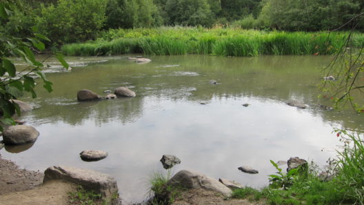 Ylästö Pitkäkoski